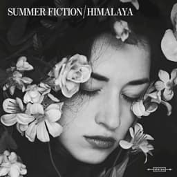 Summer Fiction