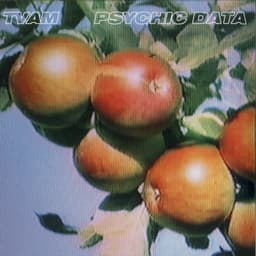 TVAM