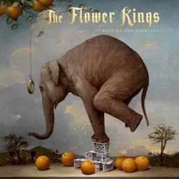 The Flower Kings