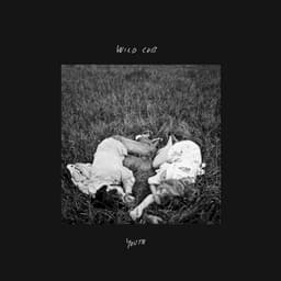 Wild Cub