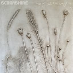 Scrimshire