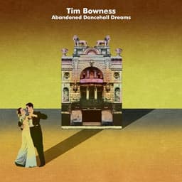 Tim Bowness