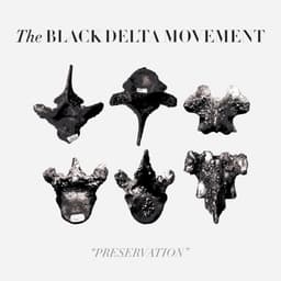 The Black Delta Movement