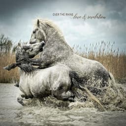 Over the Rhine