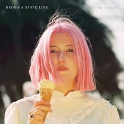 Georgia State Line