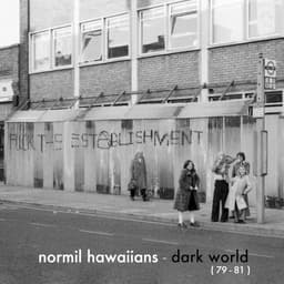 Normil Hawaiians