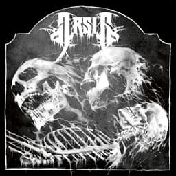 Arsis