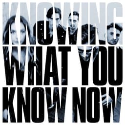 Marmozets