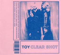 TOY