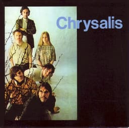 chrysalis
