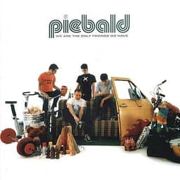 Piebald