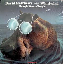 David Matthews