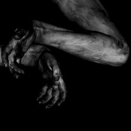 Fawn Limbs