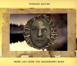 Teenage Guitar
