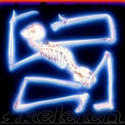 Skeleten