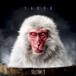 Slow J