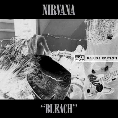 Bleach: Deluxe Edition