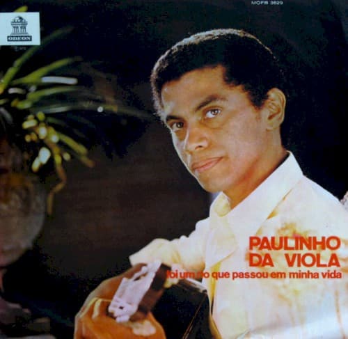 Foi um rio que passou em minha vida