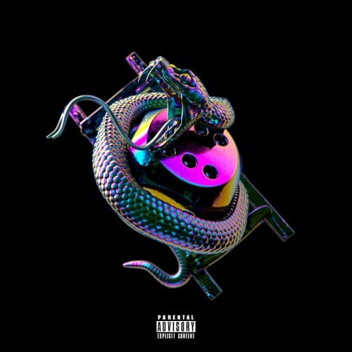 Snakes & Ladders