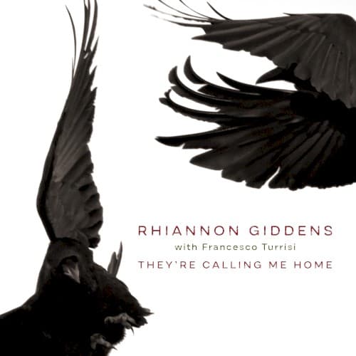 Album cover art for They’re Calling Me Home