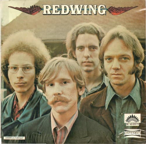 Album cover art for Redwing