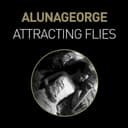 Attracting Flies (Remixes)