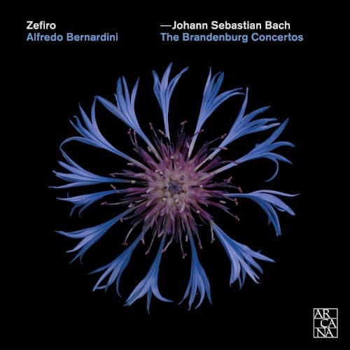 The Brandenburg Concertos