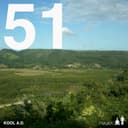 51