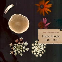 Hugo Largo