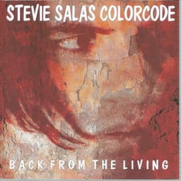 Stevie Salas