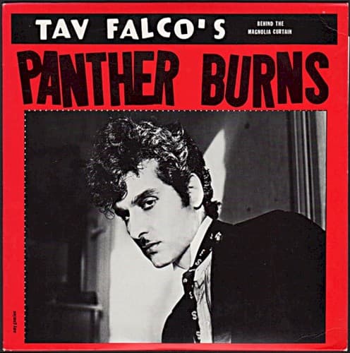 Album cover art for Behind the Magnolia Curtain