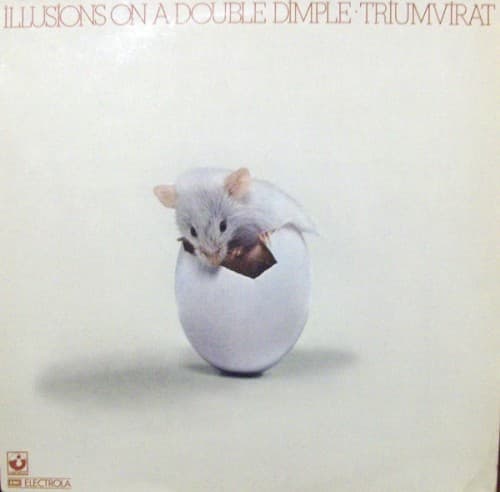 Album cover art for Illusions on a Double Dimple