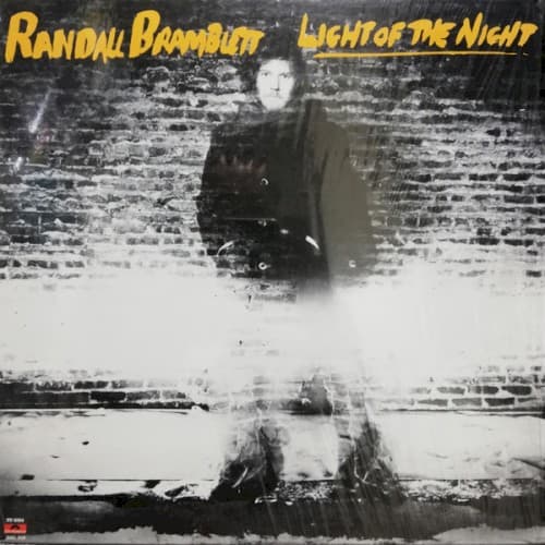 Album cover art for Light Of The Night