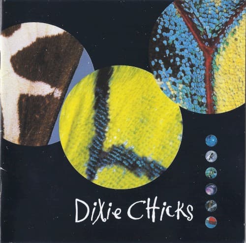 Album cover art for Fly