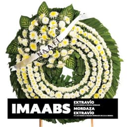 Imaabs