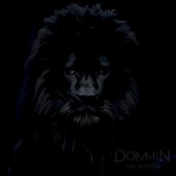 Dommin