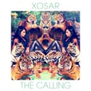 The Calling