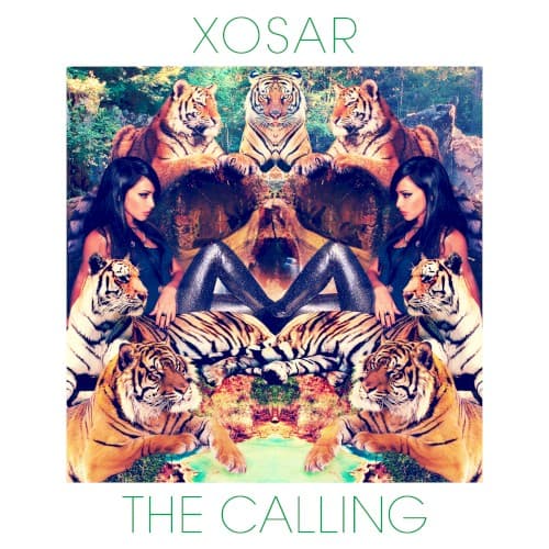 The Calling