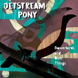 Jetstream Pony