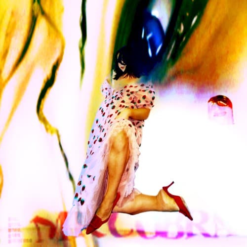 Album cover art for MR COBRA