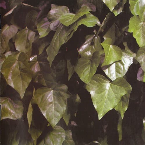 La Foret