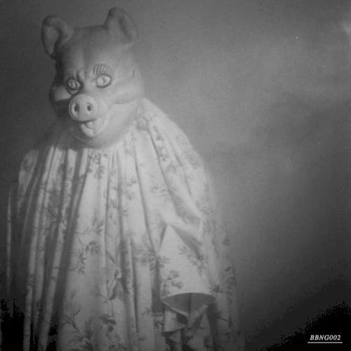 Album cover art for BBNG2