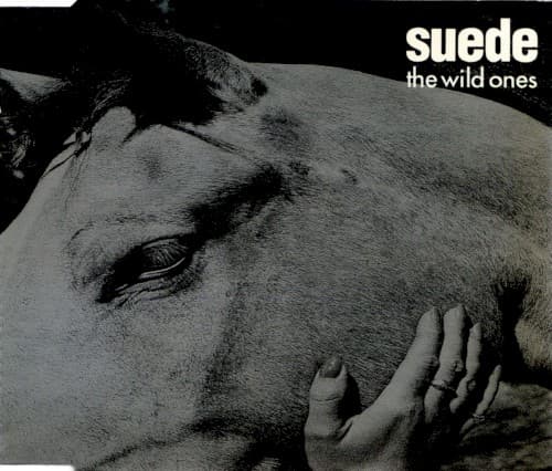 The Wild Ones