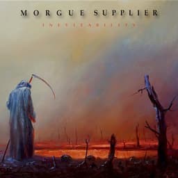 Morgue Supplier
