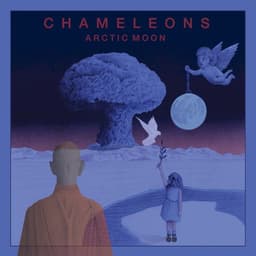 The Chameleons