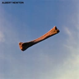 Albert Newton