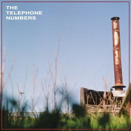 The Telephone Numbers