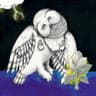 Magnolia Electric Co. (Deluxe Edition)