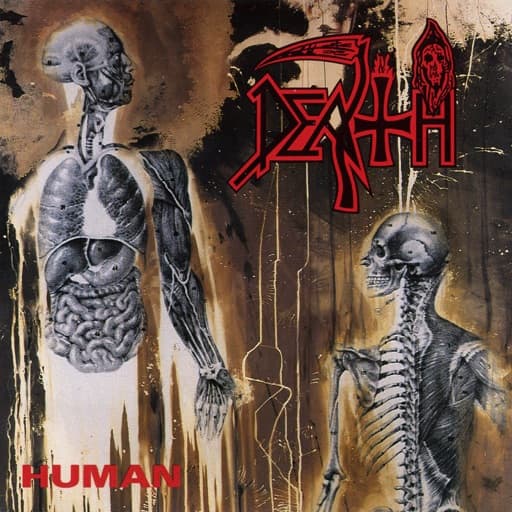 Album cover art for Human