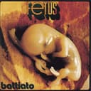 Fetus